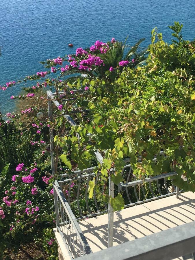 Beach Penthouse Diamond أوميس المظهر الخارجي الصورة